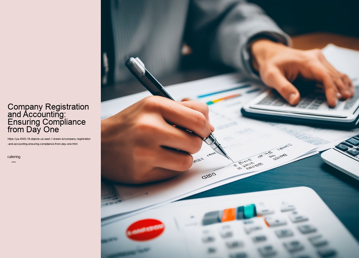 Company Registration and Accounting: Ensuring Compliance from Day One