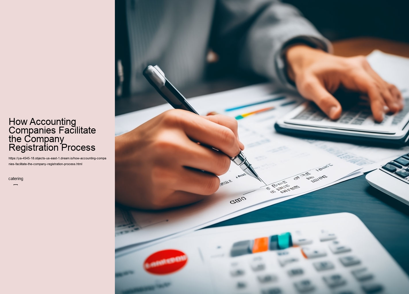 How Accounting Companies Facilitate the Company Registration Process